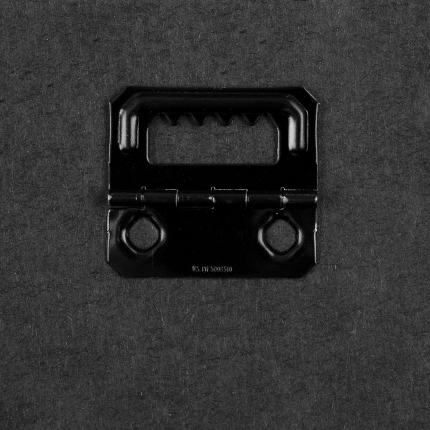 Moon Moth Canvas Gallery Wrap