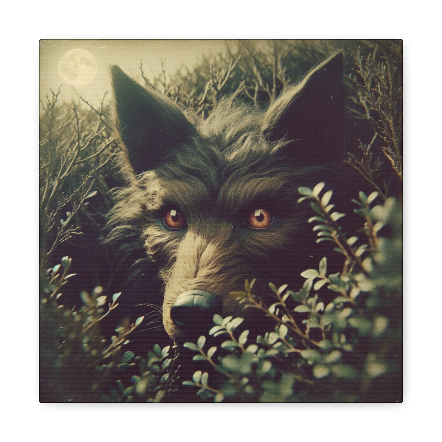 Stalking Werewolf Canvas Gallery Wrap