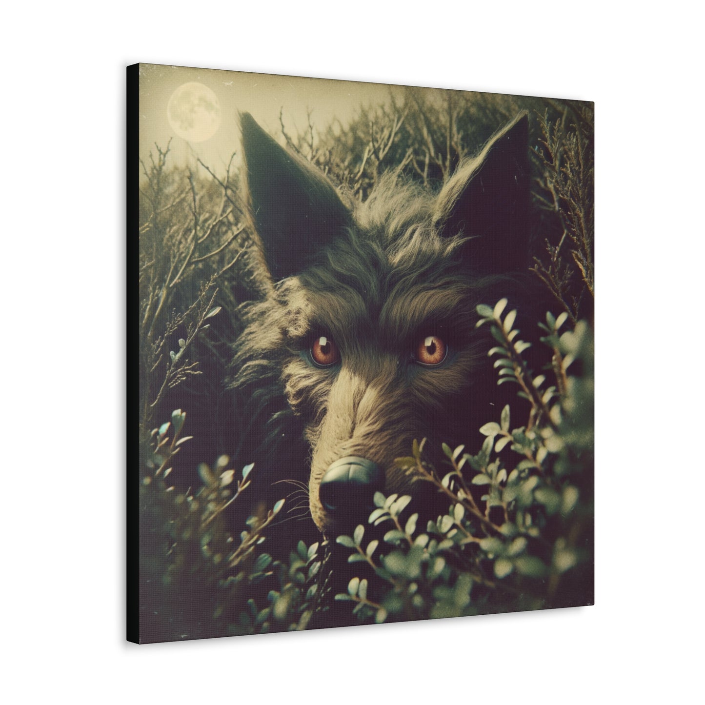 Stalking Werewolf Canvas Gallery Wrap